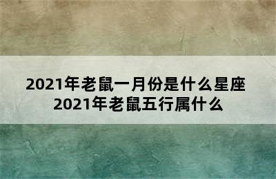 2021年老鼠一月份是什么星座 2021年老鼠五行属什么